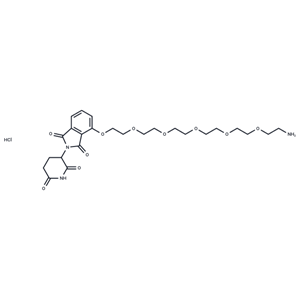 Pomalidomide-PEG6-NH2 hydrochloride|T39875|TargetMol