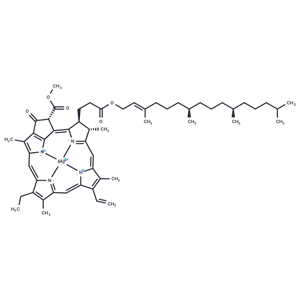 化合物 Chlorophyll a|TN6942|TargetMol