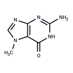 化合物 7-Methylguanine|T10194|TargetMol