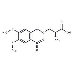 DMNB-caged-Serine|T40889|TargetMol