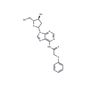 化合物 2’-Deoxy-N6-Phenoxyacetyladenosine|TNU0703|TargetMol