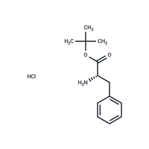 化合物 H-Phe-OtBu.HCl|T65768|TargetMol