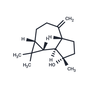 桉油烯醇|TN2233|TargetMol