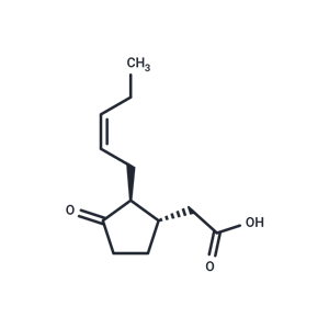 (±)-Jasmonic acid|T40880|TargetMol