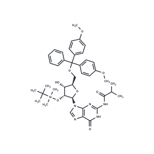 5'-O-DMT-2'-O-iBu-N-Bz-Guanosine|T40921|TargetMol