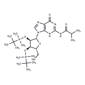 化合物 N2-iBu-2’,3’-bis-O-TBDMS ? guanosine|TNU1511|TargetMol