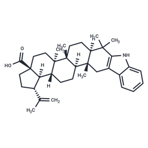 2,3-Indolobetulonic Acid|T37782|TargetMol