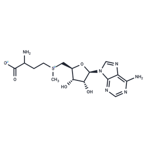 S-腺苷蛋氨酸,S-Adenosyl-DL-Methionine