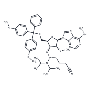 化合物 5’-O-(4,4’-Dimethoxytrityl)-2’-O-methyl-N6-methyladenosine ? 3’-CED phosphoramidite|TNU1618|TargetMol