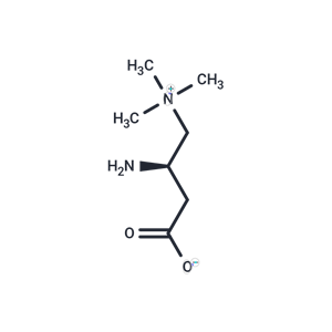 化合物 Aminocarnitine|T68196|TargetMol