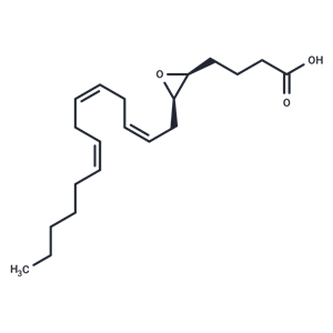 (±)5(6)-EET|T36070|TargetMol