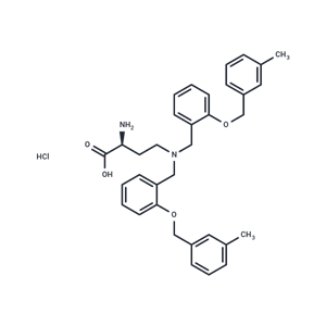 V-9302 hydrochloride|T40064|TargetMol