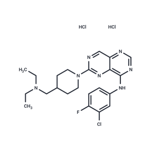 化合物 BIBU-1361 dihydrochloride|T70317|TargetMol