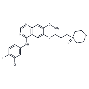 化合物 Gefitinib N-oxide|T11385|TargetMol