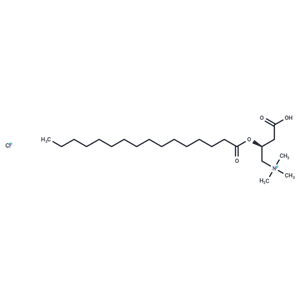 Palmitoyl-D-carnitine (chloride)|T37245|TargetMol