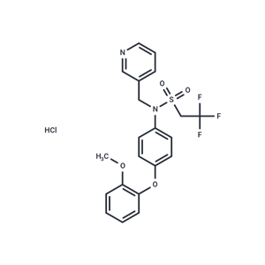 化合物 LY487379 hydrochloride|T22955|TargetMol