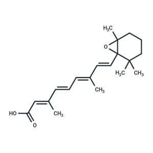 all-trans-5,6-epoxy Retinoic Acid,all-trans-5,6-epoxy Retinoic Acid