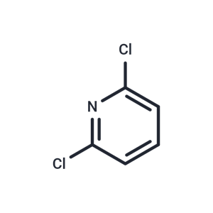 化合物 2,6-Dichloropyridine|T66739|TargetMol