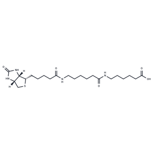 化合物Biotin-C5-amino-C5-amino|T17548|TargetMol