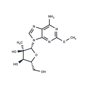 化合物 2’-C-Methyl-2-methoxyadenosine|TNU0100|TargetMol