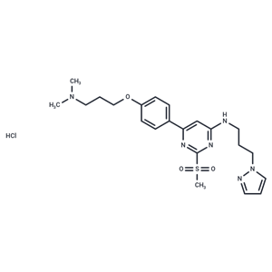 TP-238 hydrochloride|T40055|TargetMol