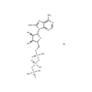 化合物 8-NH2-ATP tetrasodium,8-NH2-ATP tetrasodium