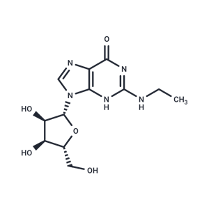 化合物 N2-Ethylguanosine|TNU0578|TargetMol