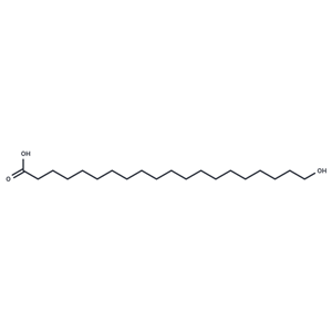 20-hydroxy Arachidic Acid|T35705|TargetMol