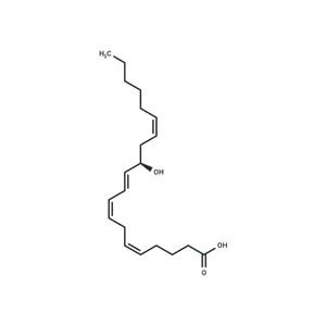 12(R)-HETE|T36145|TargetMol