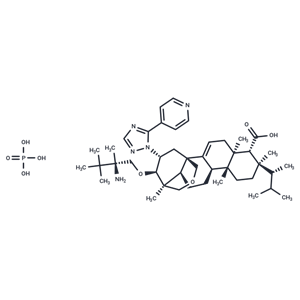 化合物 SCY-078 phosphate|T70028|TargetMol