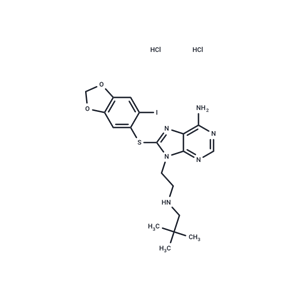 化合物 Icapamespib HCl,Icapamespib HCl