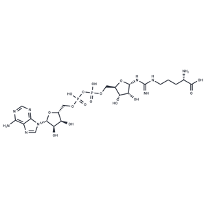 化合物 ADP-Ribosylarginine|T29669|TargetMol