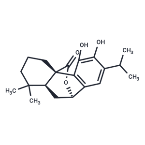 鼠尾草酚,Carnosol