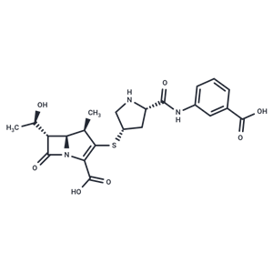 化合物 Ertapenem|T20107|TargetMol