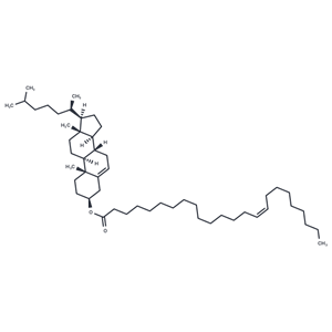 化合物 Cholesterol nervonate|T77231|TargetMol