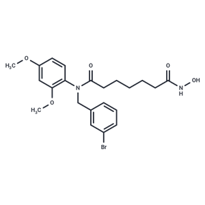 化合物 YF479|T24954|TargetMol