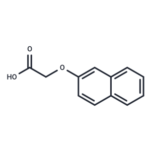 2-Naphthoxyacetic acid,2-Naphthoxyacetic acid