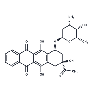 化合物 Idarubicin|T4791|TargetMol