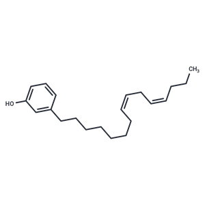 化合物 Cardanol diene|T71813|TargetMol