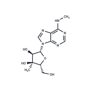 化合物 3’-beta-C-Methyl-N6-methyladenosine,3’-beta-C-Methyl-N6-methyladenosine