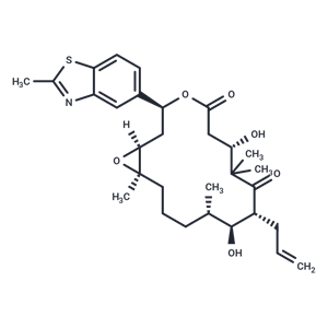 化合物 Sagopilone|T69480|TargetMol