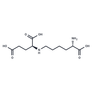 化合物 Saccharopine|T32900|TargetMol