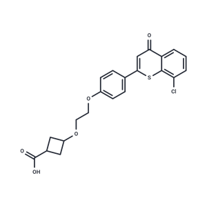 化合物 HBV-IN-32,HBV-IN-32