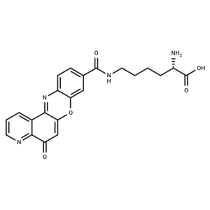 化合物 Topoisomerase IIα-IN-2|T62224|TargetMol