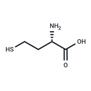 L-高半胱氨酸,L-Homocysteine