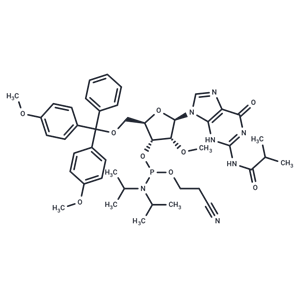 2’-OMe-G(ibu) Phosphoramidite|T37104|TargetMol