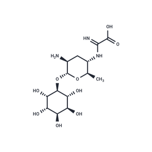 化合物 Kasugamycin|T2762L|TargetMol