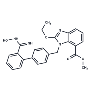 化合物 Methyl 2-ethoxy-1-((2'-(N-hydroxycarbamimidoyl)-[1,1'-biphenyl]-4-yl)methyl)-1H-benzo[d]imidazole-7-carboxylate|T66310|TargetMol