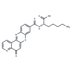 化合物 Topoisomerase IIα-IN-1|T62223|TargetMol