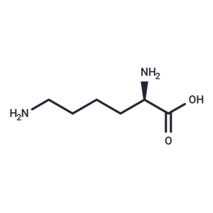 化合物 D-Lysine,D-Lysine